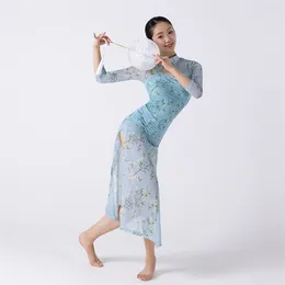 Stage Wear Gauzy Classical Dance Practise Costume Female Adult Performance Long-sleeved Training Clothing