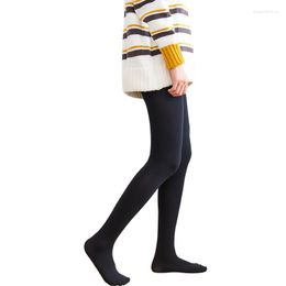 Women Socks Autumn Winter Warm Leggings For High Waist Translucent Velvet Thermal Pants Female Sexy Tights Elasticity Pantyhose