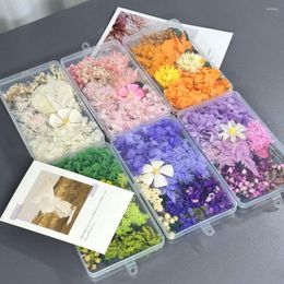 Decorative Flowers Dry Flower Box Jewelry Pendant Necklace Epoxy Resin Filling Candle Ornaments Dried Floral Festive Party Supplies