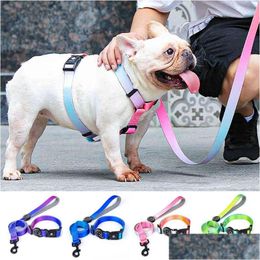 Dog Collars Leashes Designer Collar Leash Harness Fashion Gradient Colour Pet Products Chain Small Medium Large Fitting Spring Summ Dhihq