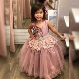 Girl Dresses Customized Flower For Wedding Blush Pink 3D Flowers Puffy Tulle Ball Gown Kids Clothes Formal Birthday Dress