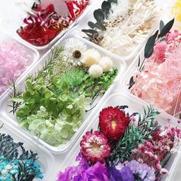 Decorative Flowers Natural Plant Dried Flower Material Packaging DIY Wax Slice Gift Box Epoxy Resin Jewellery Making Accessories
