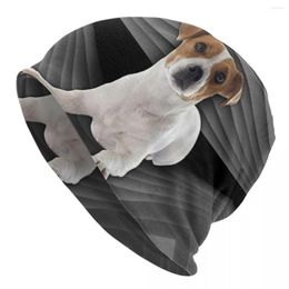 Berets Cute Jack Russell Terrier Beanie Cap Unisex Winter Warm Bonnet Femme Knitting Hats Cool Outdoor Pet Dog Skullies Beanies