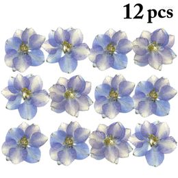 Decorative Flowers 12PCS Dried Real Larkspur DIY Pressed Eal Flower Dry Plants For Making Craft Accessories