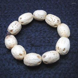 Link Bracelets 1PC Men's Bodhi Seed Plant Fruit 20X14MM DIY Jewelry Accessories Good Sellings With Elastic Cord White Colors