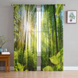 Curtain Green Forest Sun Natural Landscape Tulle Sheer Window Curtains For Living Room The Bedroom Modern Voile Organza Drapes