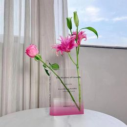 Vases High-end Desktop Book Vase Ins Style See-through Color Matching Home Flower Table Decoration