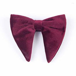 Bow Ties Adjustable Mens Velvet Bowtie Pre-Tied Gift Party Cravat Wedding Adult Formal Accessories Neck Tie Dress HJ59