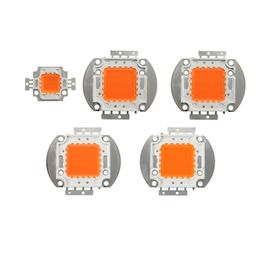 High Power Led Chip 50W Sunlight Full Spectrum Plant Grow Light 380nm - 840nm Super Bright Intensity SMD COB Light Emitter Components Diode 50 W Bulb Lamp Beads oemled