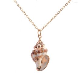 Chains Fashion Beach Sea Ocean Conch Pendant Necklace For Women Natural Shell Collar Necklace&Pendant Female Sweater Chain Jewelry