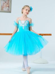 Stage Wear Professional Romantic Tutu Long Ballet Skirt Blue Pink Leotard Women Adult Children Dancing Ballerina Performance Costumes