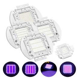 Led Chip 50W Purple Ultraviolet Ultra Violet (365nm 375nm 385nm 395nm 405nm 420nm) Super Bright Intensity Emitter Components Diode Bulb Lamp Beads Crestech168