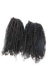 Kinky Curly Human Hair Bundles Aligned Weave Brazilian Glamorous Hair Extension Whole Virgin Hair Bundles2797739