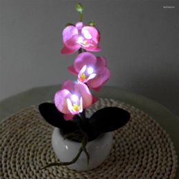 Decorative Flowers LED 3 Butterfly Orchids Bonsai Wedding Party Home Decor Artificia Christmas Decorations For Lantern