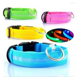 Dog Collars Usb Charging Led Luminous Rechargeable Pet Collar Pendant Flash Night Light Safety Dogs Necklace Accessories