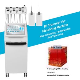 Vertical Radio Frequency Trusculpt Monopolar Rf Body Sculpting Fat Dissolving Trusculpt Ems Flex Rf Skin Tightening Machine