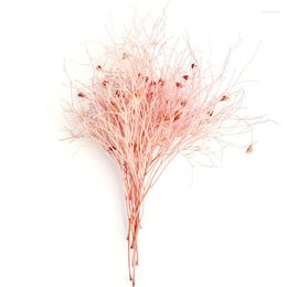 Decorative Flowers Party Decoration Natural Smoke Bush Bunch Plant Dried Preserved Dream Grass