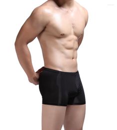 Underpants Super Thin Ice Silk Mens Sexy Underwear Boxers Shorts Men's Low Rise Seamless Underwears Men Boxer Size S M L XL