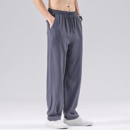 Men's Pants Colour Style Solid Cotton Summer Chinese Men's Linen 2023 Harem Male Loose Straight Elastic Waist Joggers
