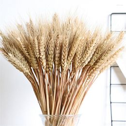 Decorative Flowers Wheat Ears 100pcs Bunch Barley Dried Flower Bouquet Reuse Wedding Floral DIY For Home Decoration