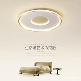 Ceiling Lights Light Lamparas De Techo Led Living Room Industrial Decor Dining Bedroom