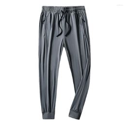 Men's Pants Summer Ice Silk Nylon Loose Quick Drying Men's Casual Ankle-length Plus Size M-8XL Black Grey Colour