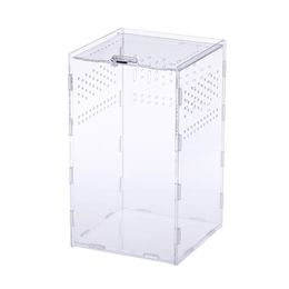 Terrariums 11XA Insect Feeding Box Transparent Acrylic Terrarium Container for Spiders Scorpions Reptile Carrier Box Easy to Assemble