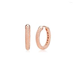 Hoop Earrings Rose Matte Brilliance Earring Hoops 925 Sterling Silver Jewellery For Woman Make Up Fashion Female Party
