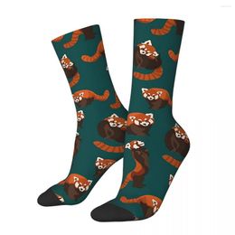 Men's Socks Male Men Casual Kawaii Red Panda Cute Animal Sock Skateboard Women's Spring Summer Autumn Winter