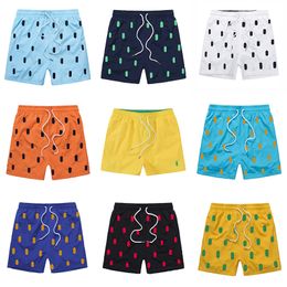 Mens Designer Summer Swim Shorts War horse embroidery Breathable Beach s Short Polo Quick Dry Surf Mesh fabric short