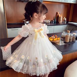 Girl's Dresses Toddler Kid Tutu Princess Dress Wedding Birthday Party Dresses For Baby Girls Flowers Costumes Pink White Sweet Ruched Dress AA230531