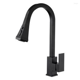 Bathroom Sink Faucets Manufacturers Selling Smoked Pull Bibcock Multi-functional Cold Kitchen Xiancai Basins Flower Wholesale Sillcock