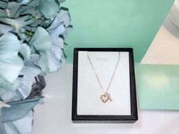 2023 lovely cute pendant Necklaces long rose gold thin stainless steel chain diamond crystal heart key designer Women necklace with blue dust bag and box