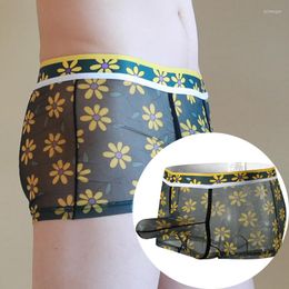 Underpants Men's Sexy Underwear Elephant Nose Breathable Boxer Shorts Mesh Printed Male Panties