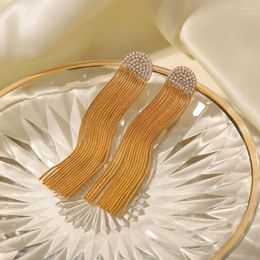 Stud Earrings Long Chain Tassel Stainless Steel Women's Earring Studs Tragus Jewelry Titanium Earings Oorbellen Aretes Brincos