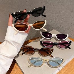 Sunglasses Vintage Cat Eye UV400 Goggles Fashion Irregular Gradient Women Small Frame Brand Designer Sun Glassses