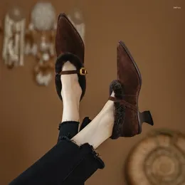 Dress Shoes Ochanmeb Sheep Wool Fur Women Mary Janes Strange Odd Heels Buckled Strap Kid Suede Pumps Woman Autumn Winter Footwear Warm