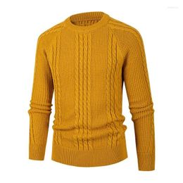 Men's Sweaters 2023 Crew Neck Solid Fried Dough Twists Pullover Sweater Knits Large Fashion Casual Backing Shirt