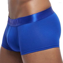 Underpants JOCKMAIL Sexy Low Waist Style Men's Underwear Soft Modal Material Boxer Briefs U Convex Pouch Quick Dry Sports Male
