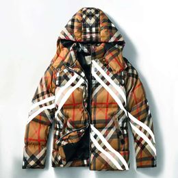 Men S Down Jacket Winter Beige Plaid Brand Weatherproof Stand Up Collar Windbreaker And Women With The Same European Casual Fa