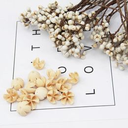 Decorative Flowers Dried For Candle Epoxy Resin Real Dry Plants Pendant Necklace Jewelry Making Craft DIY Accessories