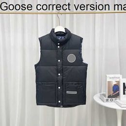 Canada Giletmens Vests Luxury Designer Down Goose Vest Womens Puffer Jacket Parkas 22 Glacier Seriesgoose