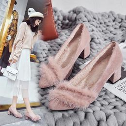 Dress Shoes 34-41 Big Size Pumps Women Thick High Heels Cosy Plush Winter Luxury Band Talon Pointy Zapatos De Mujer S547