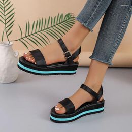 Sandals 2023 Summer European And American Large Bottom Thick One Line Buckle Round Head Foreign Trade Women's Size 42