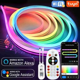 LED Neon Sign 12V LED Strip Neon Lights Tuya Smart Life WiFi Bluetooth RGBIC Neon Rope Lights Room Decor Alexa Google Home fita de led YQ231201