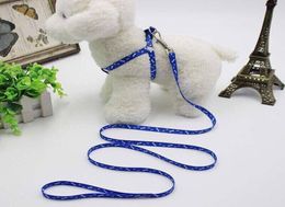 10120cm Dog Harness Leashes Nylon Printed Adjustable Pet Dog Collar Puppy Cat Animals Accessories Pet Necklace Rope Tie Collar3392310