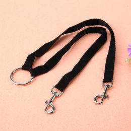 Dog Collars Adjustable Nylon 2 Way Two Dogs Pet Leash Coupler Training Elastic Collar Belt Walk Running Lead For