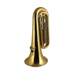 China instruments tuba cheap tuba for sale