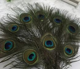 Top Natural Peacock Feather 23-30cm DIY Clothing Decoration Plumage Crafts