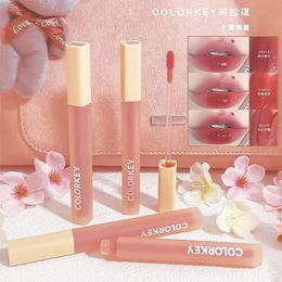 Lip Pencils Colorkey Water Mist Lip Glaze Mirror Liquid Lipstick Waterproof Long Lasting Non-stick Matte Lipstick Lip Makeup Maquillaje 231202